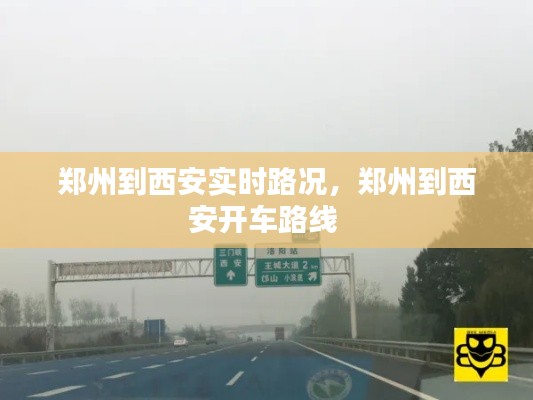 新闻动态 第296页