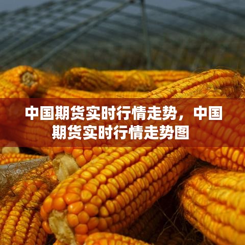 中国期货实时行情走势，中国期货实时行情走势图 