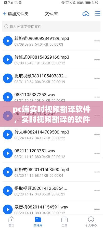 pc端实时视频翻译软件，实时视频翻译的软件 