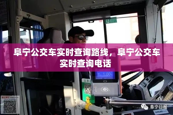 市场应用 第285页