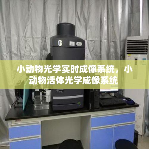 小动物光学实时成像系统，小动物活体光学成像系统 