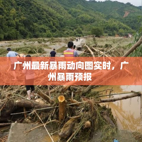 广州最新暴雨动向图实时，广州暴雨预报 
