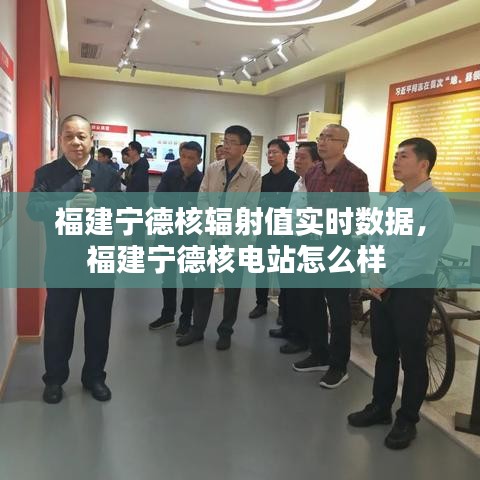 望其项背 第4页