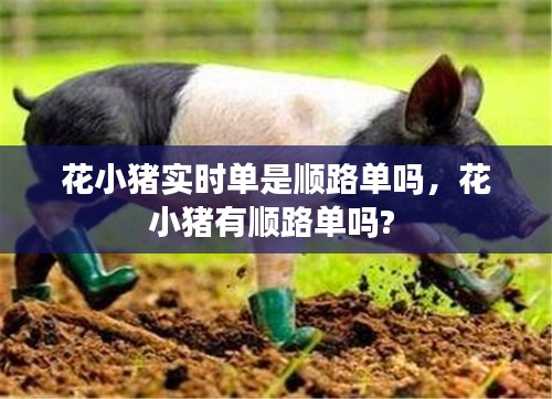花小猪实时单是顺路单吗，花小猪有顺路单吗? 