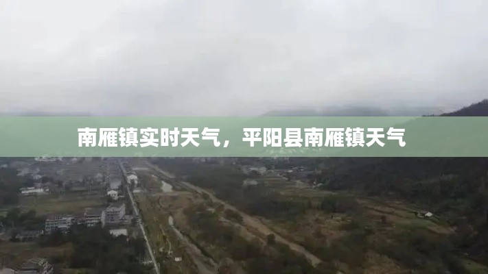 南雁镇实时天气，平阳县南雁镇天气 