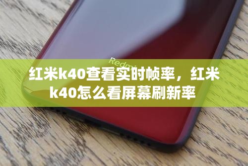 瞻云就日 第4页