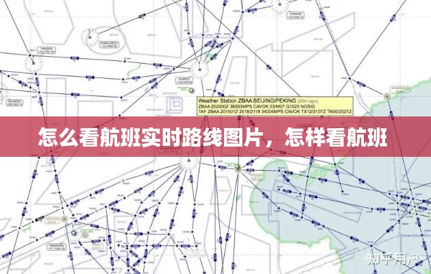 怎么看航班实时路线图片，怎样看航班 