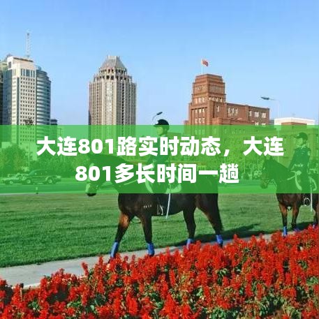 大连801路实时动态，大连801多长时间一趟 