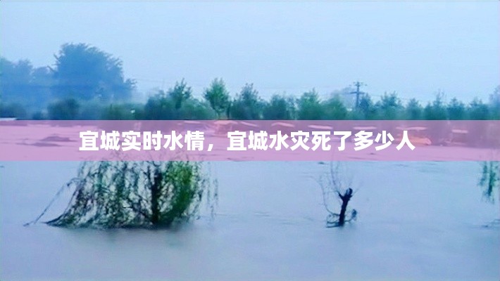 宜城实时水情，宜城水灾死了多少人 