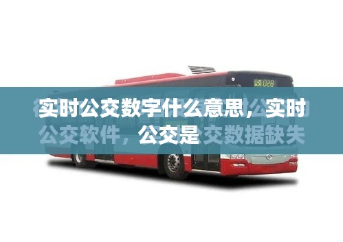实时公交数字什么意思，实时公交是 