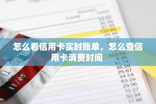 怎么看信用卡实时账单，怎么查信用卡消费时间 
