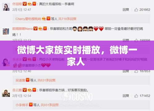 微博大家族实时播放，微博一家人 