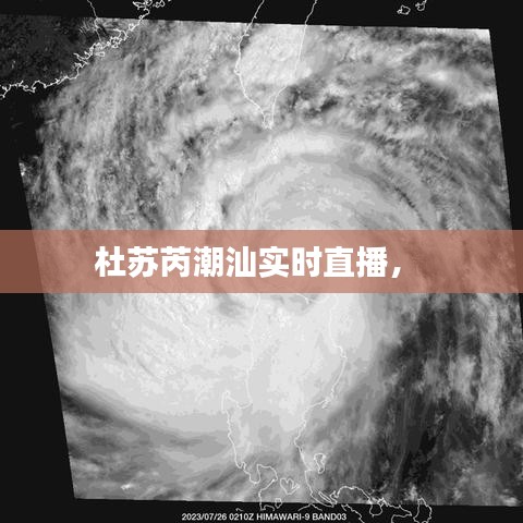杜苏芮潮汕实时直播， 