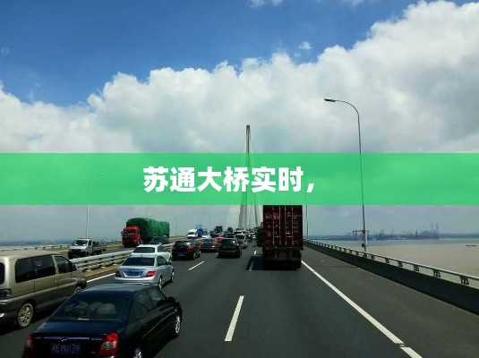 苏通大桥实时， 