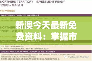 飞燕化龙 第4页