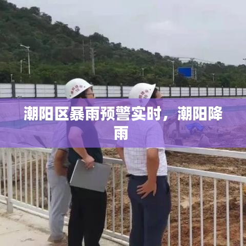 犯而不校 第4页