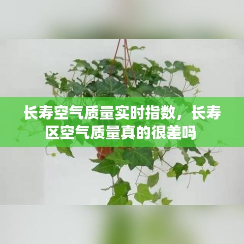 长寿空气质量实时指数，长寿区空气质量真的很差吗 
