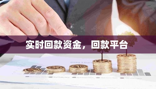 实时回款资金，回款平台 