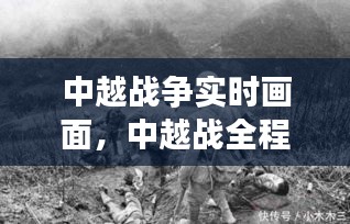 中越战争实时画面，中越战全程真实视频 