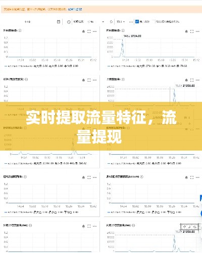 实时提取流量特征，流量提现 
