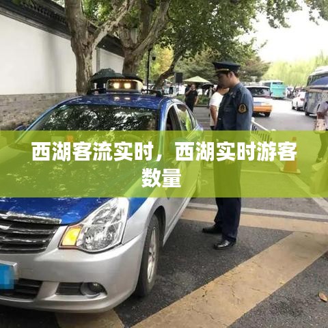 移樽就教 第4页