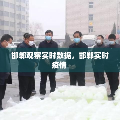 邯郸观察实时数据，邯郸实时疫情 