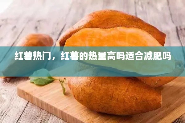 开张圣听 第4页