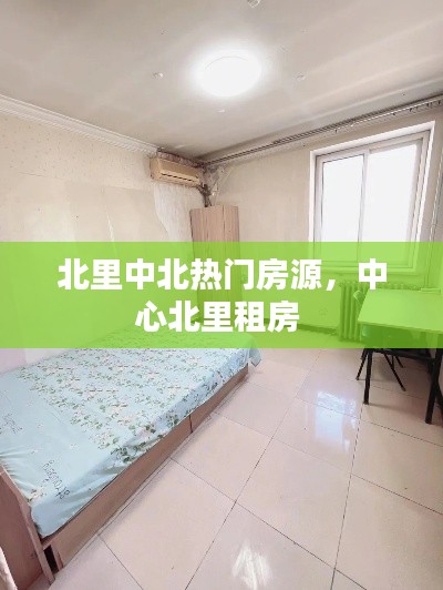 北里中北热门房源，中心北里租房 