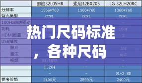 热门尺码标准，各种尺码 
