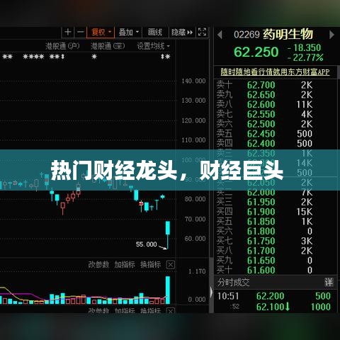 热门财经龙头，财经巨头 