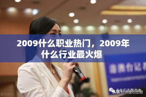 2009什么职业热门，2009年什么行业最火爆 