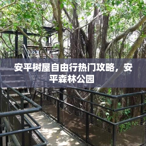 安平树屋自由行热门攻略，安平森林公园 