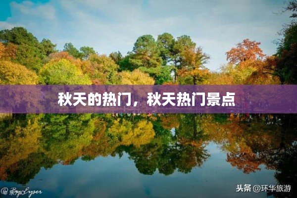 诚心诚意 第5页