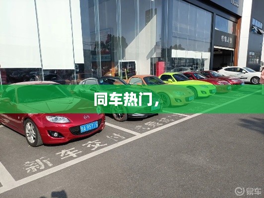 张张屈屈 第4页