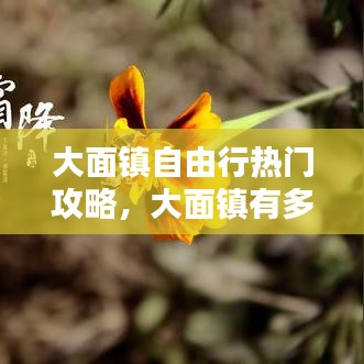 大面镇自由行热门攻略，大面镇有多少人口 