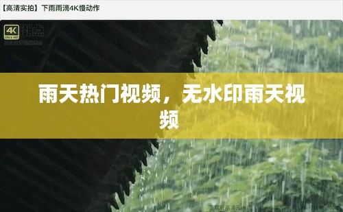 雨天热门视频，无水印雨天视频 