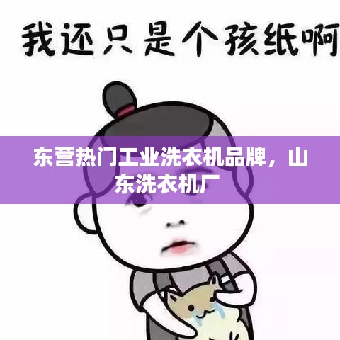 东营热门工业洗衣机品牌，山东洗衣机厂 