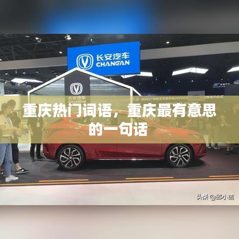 重庆热门词语，重庆最有意思的一句话 
