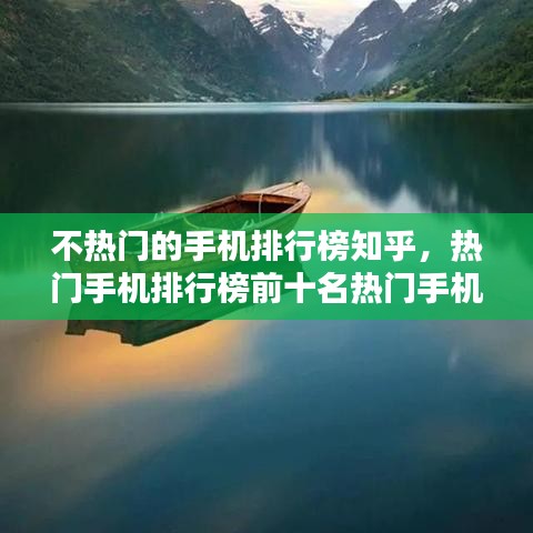 一花独放 第4页