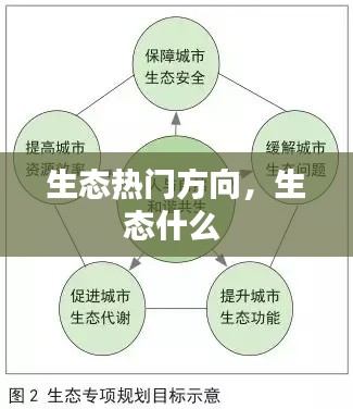 生态热门方向，生态什么 