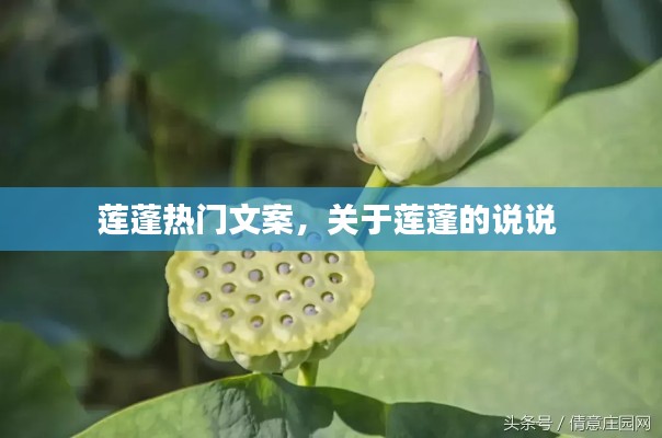 虎视眈眈 第4页