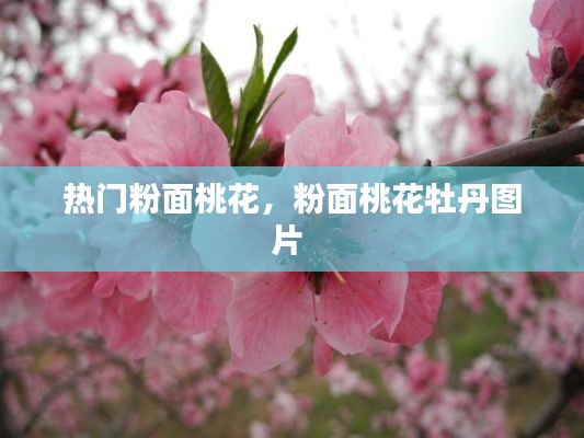 倦鸟思归 第4页