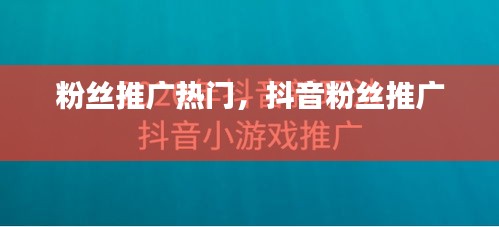 粉丝推广热门，抖音粉丝推广 