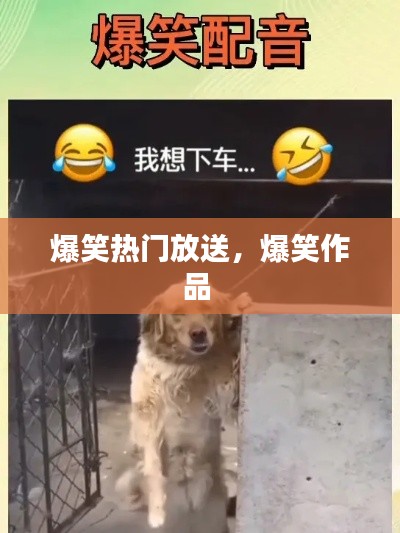 虎背熊腰 第4页