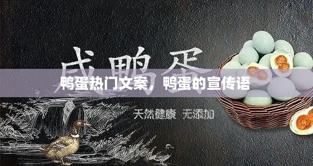 鸭蛋热门文案，鸭蛋的宣传语 