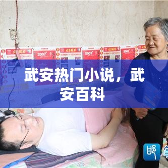 武安热门小说，武安百科 