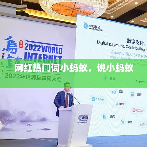 网红热门词小蚂蚁，说小蚂蚁 