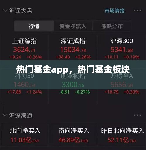热门基金app，热门基金板块 