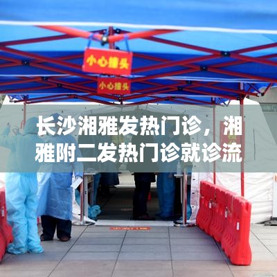 尖嘴猴腮 第4页
