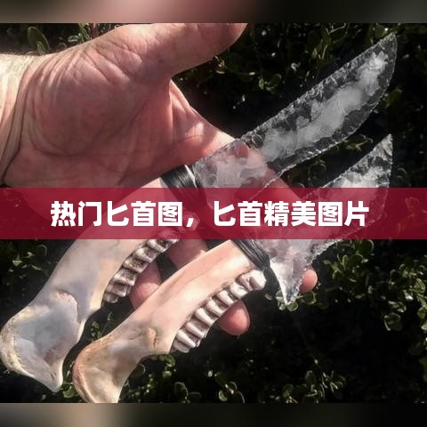 热门匕首图，匕首精美图片 